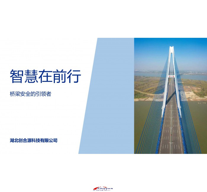 智慧在前行，桥梁安全的引领者